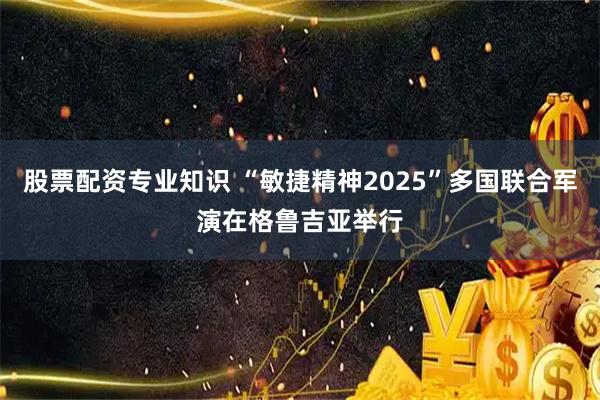 股票配资专业知识 “敏捷精神2025”多国联合军演在格鲁吉亚举行