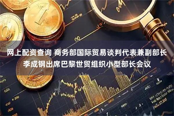 网上配资查询 商务部国际贸易谈判代表兼副部长李成钢出席巴黎世贸组织小型部长会议