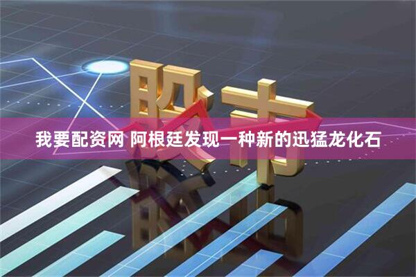 我要配资网 阿根廷发现一种新的迅猛龙化石